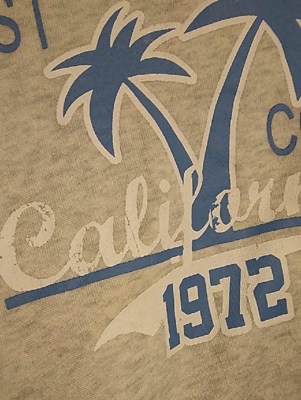 California Graphic Cropped Hooded Sweatshirt Light Gray and Blue - Picture 3 of 7
